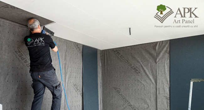 APK Art Panel participă la TNI