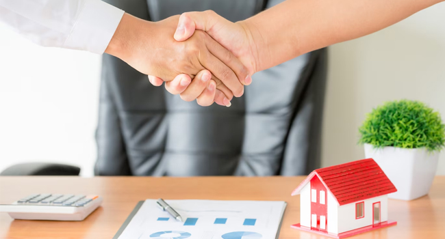 Majorarea TVA-ului la achiziția de locuințe noi a scos mulți cumpărători din expectativă, dovedind că în piață există o cerere robustă și solvabilă