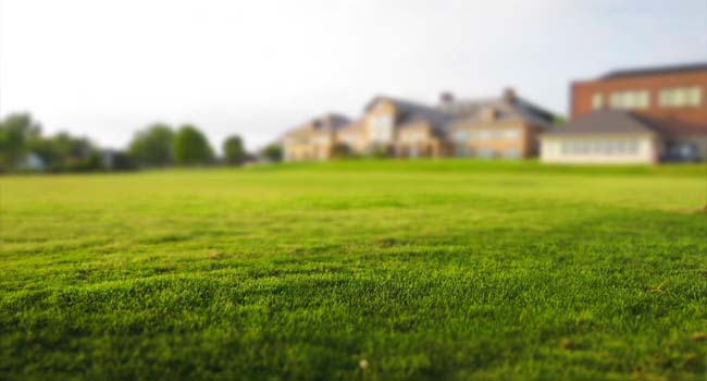 Colliers: An peste aşteptări pentru tranzacţiile cu terenuri, după un imbold în ultimele luni din 2023