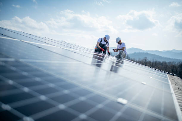 Contracte de 118 mil lei pentru parcuri fotovoltaice