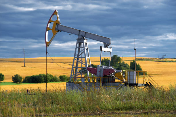 Cotatiile petrolului scad, in asteptarea majorarii productiei de catre OPEC