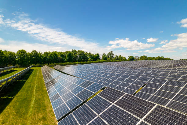 Contracte, de 62 mil lei, semnate pentru parcuri fotovoltaice